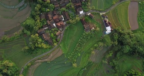 rice fields in Magelang, Central Java, Indonesia. Rural aerial drone view of the countryside in Indo