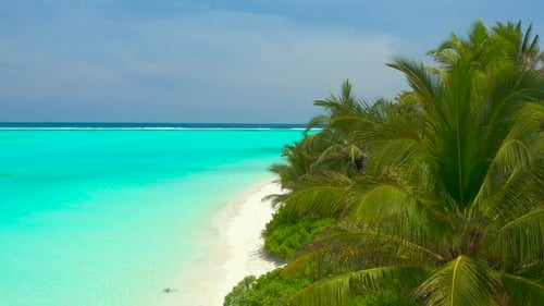 Aerial Top View on Palm Trees on the Sunny Sandy Beach and Turquoise Ocean From Above