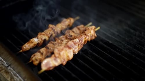 Closeup View of Hot Stove and Meat on Skewers in Restaurant Kitchen Cooking Meat on Electric Grill
