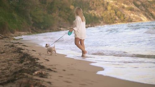 A Beautiful Young Woman Walks and Plays with Her Jack Russell Terrier Dog While Walking Along the