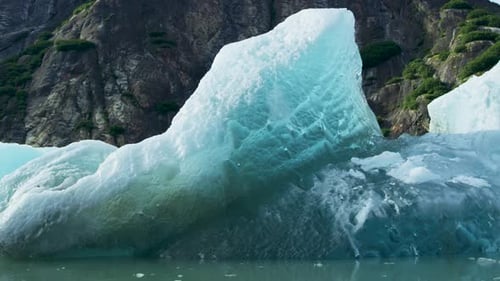 Watch the ice floes and icebergs on the river in a small boat.