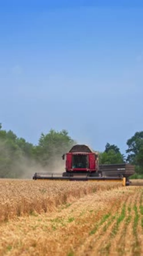 Harvester machine with red cabin mowing the wheat in the field.