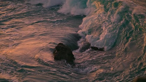 Closeup Pink Sea Foaming at Evening Nature. Sunset Waves Breaking Shoreline Surface