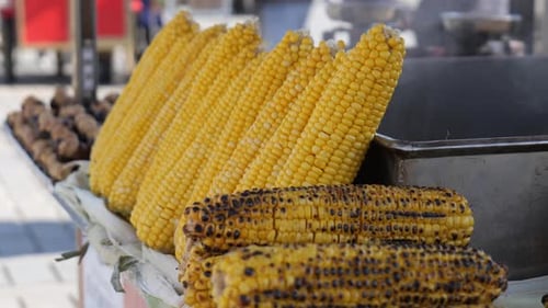 Istanbul Traditional Street Food Vendor Stall with Grilled Corn Boiled Corn and Roasted Chestnuts