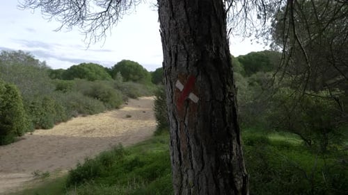 European Wrong Direction Trail Mark, Pine Forest, Caparica