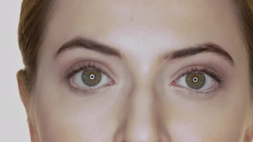 The eyes of a woman. Close up of healthy eyes of a young woman without glasses. Visible irises and p