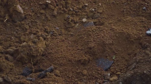 Exposed Earth and Dirt with Pieces of Asphalt