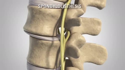 Detailed 3D illustration of human spine anatomy
