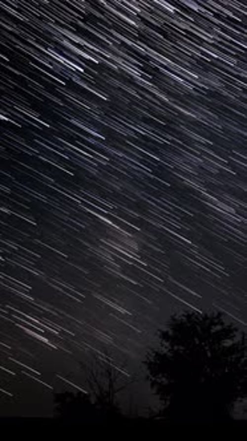 Star Trails Moving Across Night Sky Over Forest Silhouette