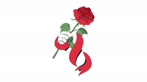 Animated Flat Design Illustration of Hand Holding Red Rose with Ribbon