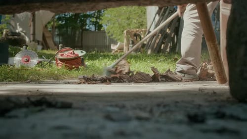 Gardener Racking Fall Leaves off Ground
