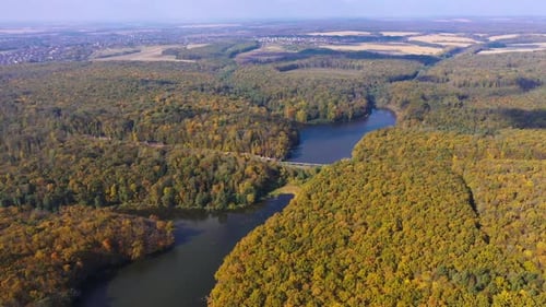 Forest autumn landscapes aerial view. Outdoor seasonal natural scenery.