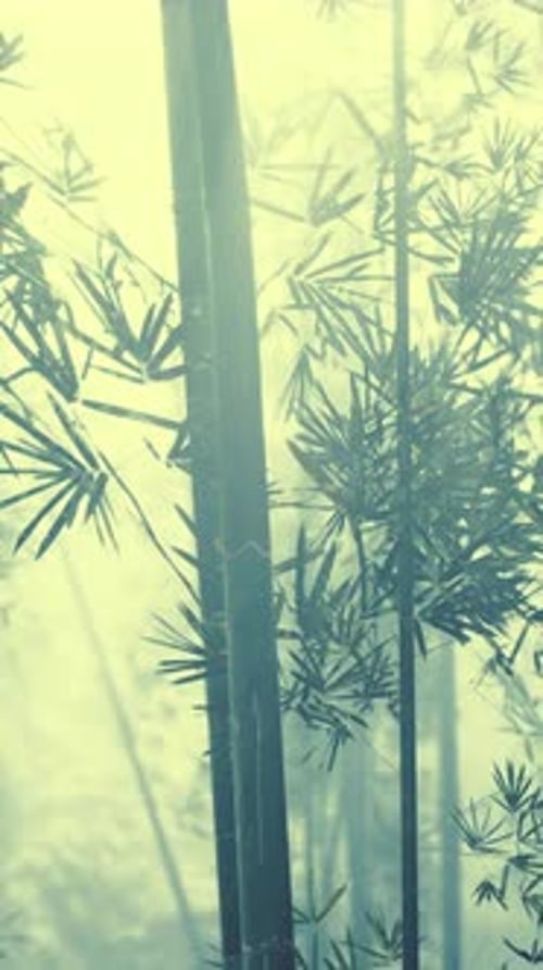 Abstract Bamboo Forest with Subtle Motion Background