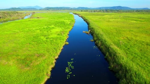 Aerial view footage of wetland landscapes. 4K