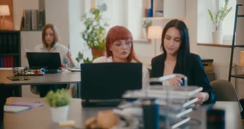 Female Coworkers Discussing at Desk in Office