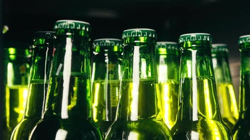 Rangée de bouteilles de bière dans le réfrigérateur, la boutique ou l'hôtel, Cold Lager, magasin de bière allemande artisanale ou de cidre, supermarché