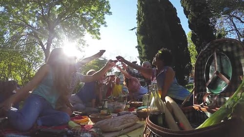 Happy Friends Celebrate Picnic Cheers in Sunny Park