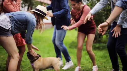 Friends Dancing with Dog Outdoors in Backyard Setting