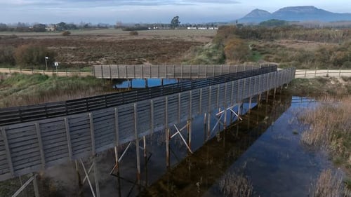 Wooden foot bridge running over nature reserve bird watching wetland