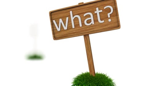 Wooden Sign Asking 'Where?' on Grass