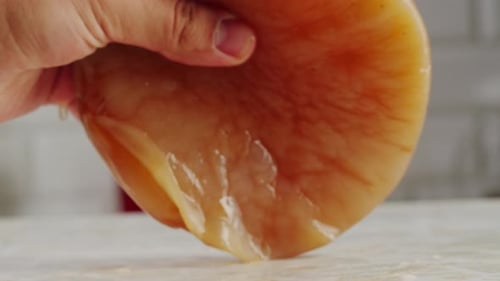 Thé Kombucha Scoby Fungus, boisson fermentée au kombucha faite maison, bactéries et levures