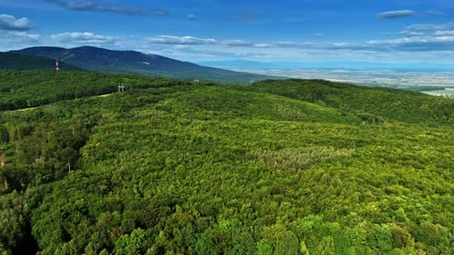 Lush green landscape under a bright sky. A vibrant forest stretches across rolling hills under