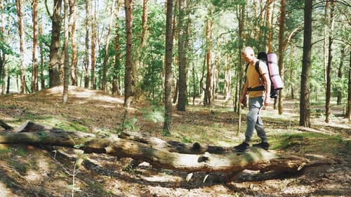 Man With Backpack Walking Through Forest