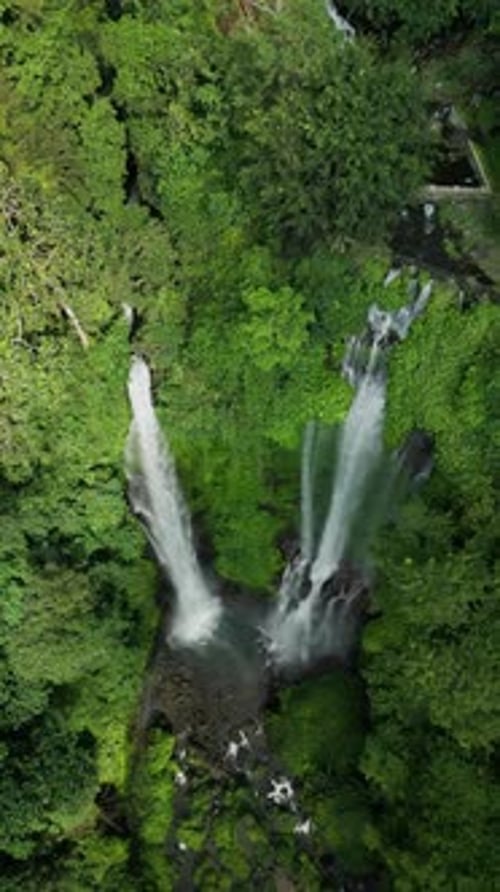 Aerial View of Tropical Waterfall in Lush Forest