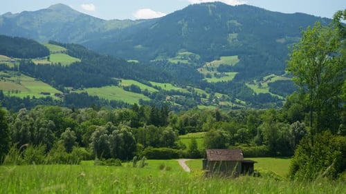 Paysage estival pittoresque des Alpes autrichiennes avec une grange à foin en bois traditionnelle