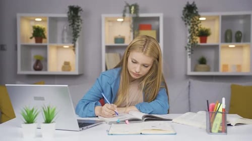 Young Woman Studying At Desk In Living Room