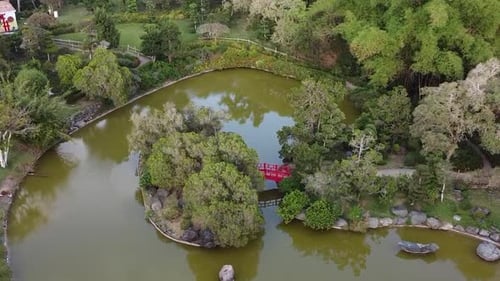 oben Luftaufnahme von kleinen Teichen und Bäumen, die sich im Wasser des botanischen Gartens spiegeln.