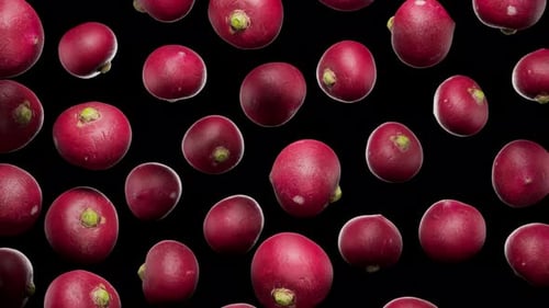 Seamless Floating Radishes on Alpha
