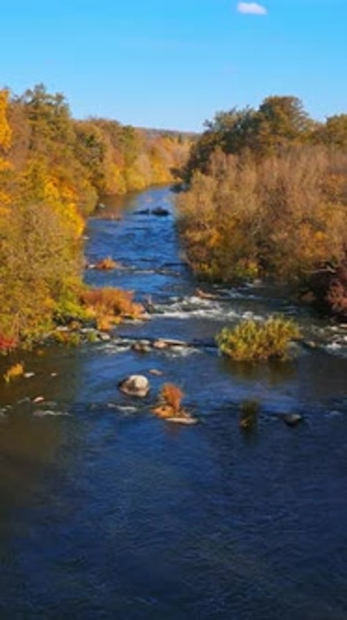Autumn nature. Amazing scenery background. River in the forest. Calm lake surrounded by autumn trees