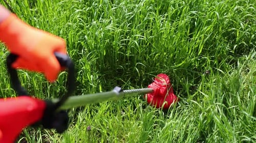 Rasenmähen mit dem kabellosen Rasentrimmer-Kantenschneider