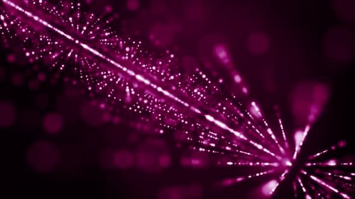 Glowing Pink Particle Grid Technology Background Loop
