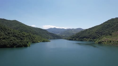 Wassersee in grüner Natur