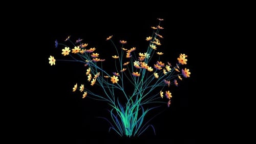 Decorative Flowering Plant Growth Animation