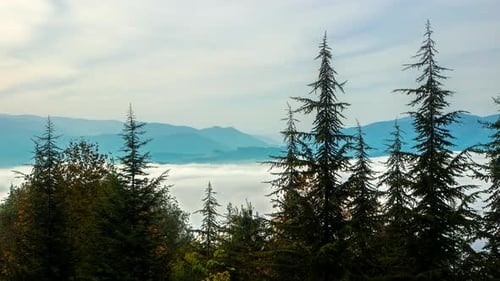Mountain Forest with Moving Clouds Timelapse