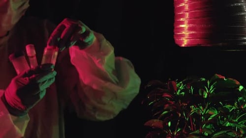 Scientist Examines Plant Samples in Laboratory Under Lights