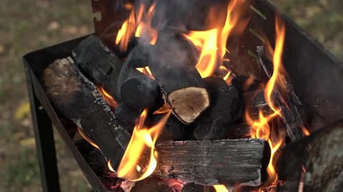 Flames Burning Wood in Fire Pit