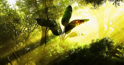 Sunlight Filters Through Lush Greenery in a Tranquil Forest Scene
