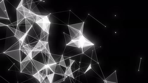 White Glowing Plexus Network Connection Moving On Black Background. Digital Plexus Line Technology