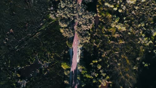 Bird's-eye view of a winding track surrounded by lush greenery in a serene natural landscape