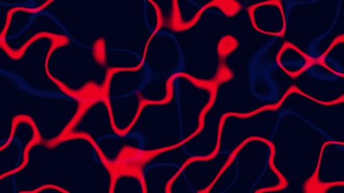 Abstract Fluid Organic Red and Blue Wavy Background Animation
