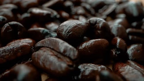 Close-Up of Shiny Roasted Coffee Beans