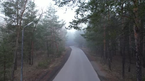 Mystical Foggy Road Through Forest