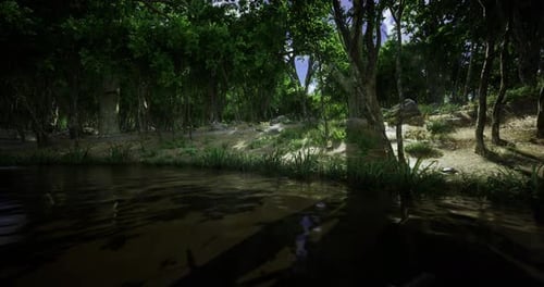 Lush Forest Landscape with a Reflective Pond Viewed on a Sunny Day