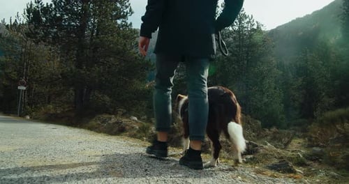 Woman Walk with Domestic Dog on Leash in Mountain Natura Park at Vacation Trip