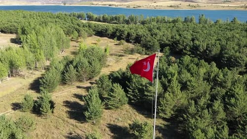 Vue aérienne de la forêt et drapeau turc agitant