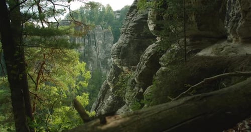 A view of tall rock formations and dense forest seen from a shaded, rocky ledge.